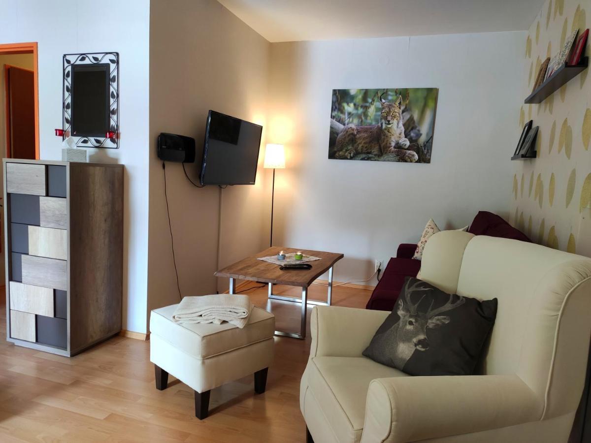 Ferienwohnung Harzluchs Mit Balkon, Netflix Und Sauna Im Haus Hohegeiß Eksteriør bilde