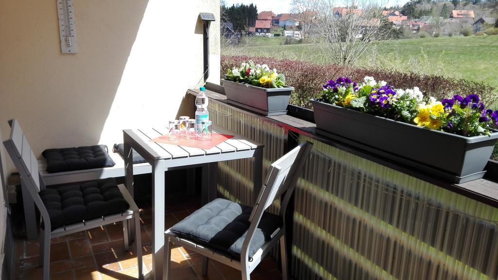 Ferienwohnung Harzluchs Mit Balkon, Netflix Und Sauna Im Haus Hohegeiß Eksteriør bilde
