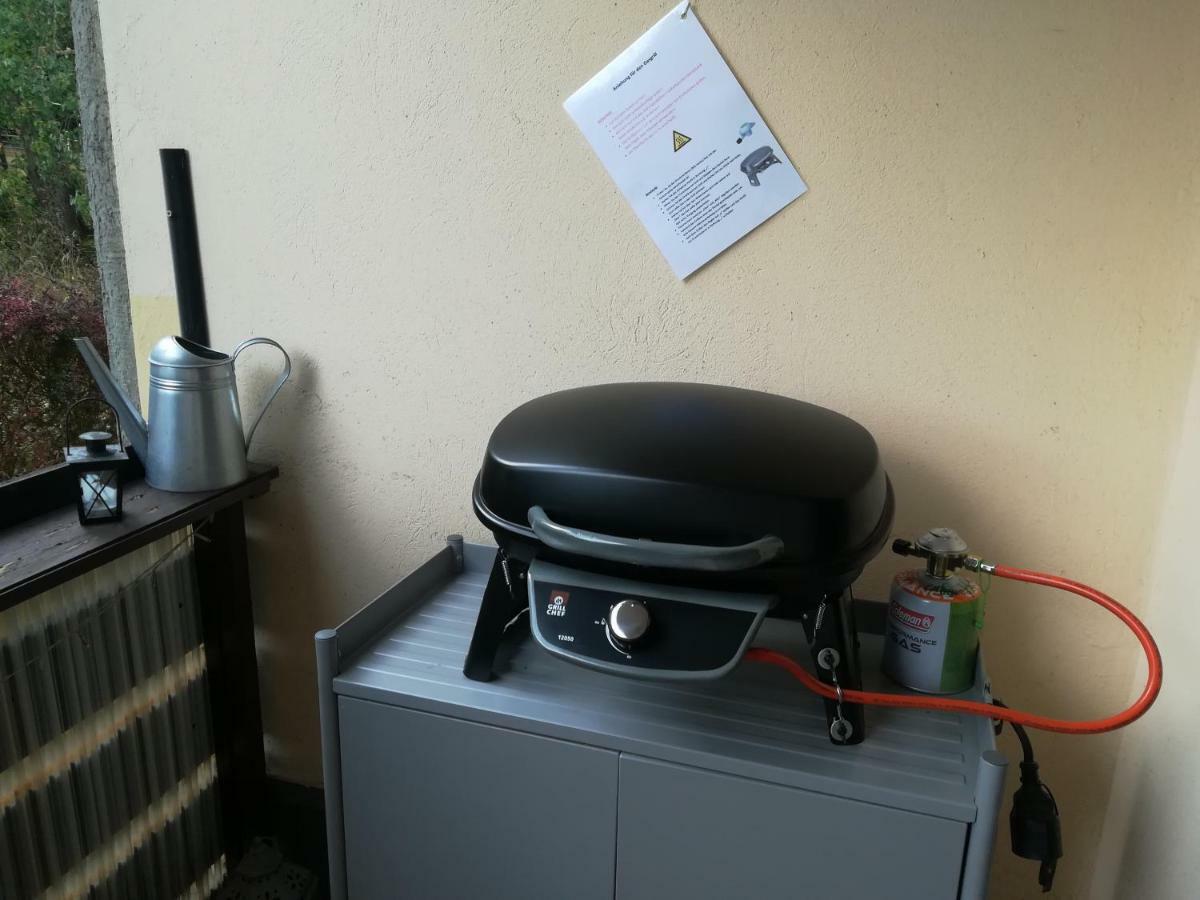 Ferienwohnung Harzluchs Mit Balkon, Netflix Und Sauna Im Haus Hohegeiß Eksteriør bilde